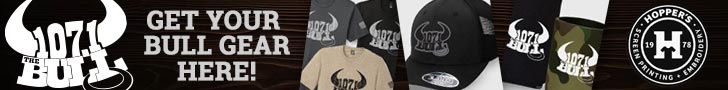 https://www.hopperwear.com/thebull