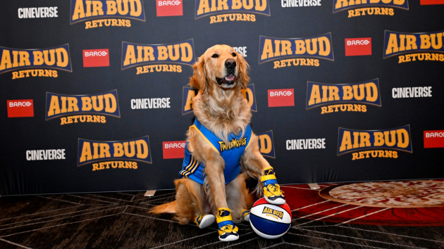 ‘Air Bud Returns’ gets teaser trailer, new release date