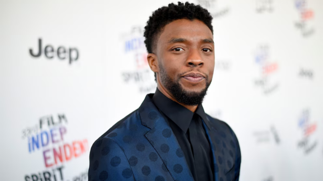 Chadwick Boseman’s brothers ask court to remove his widow as administrator of his estate