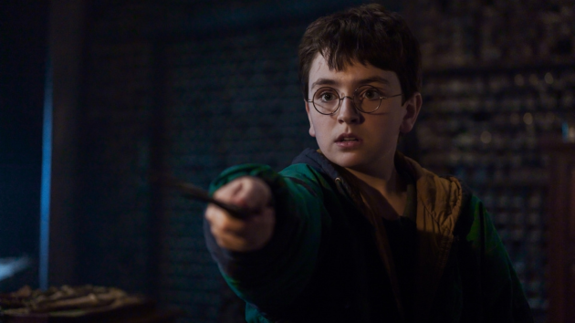‘Harry Potter’ HBO series casts Tom Riddle, Dobby and new Ginny Weasley